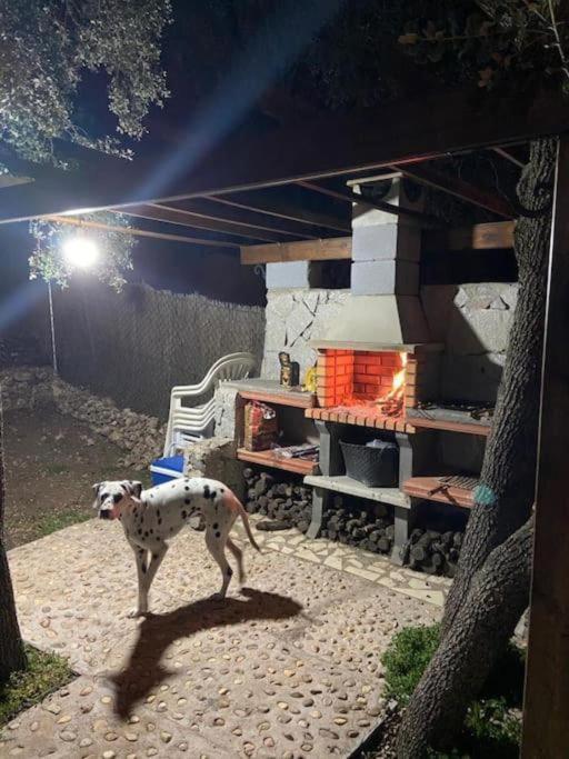 Desconexion Y Paz, Cabana En La Sierra Albalate De Zorita Eksteriør bilde